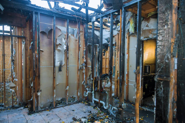 Professional Fire Damage Cleanup technician working in Cokato, MN